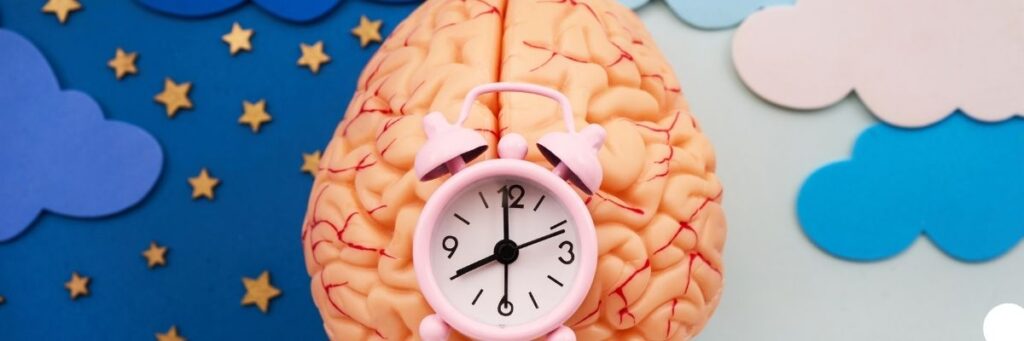 Sirkadiyen Ritim Rehberi