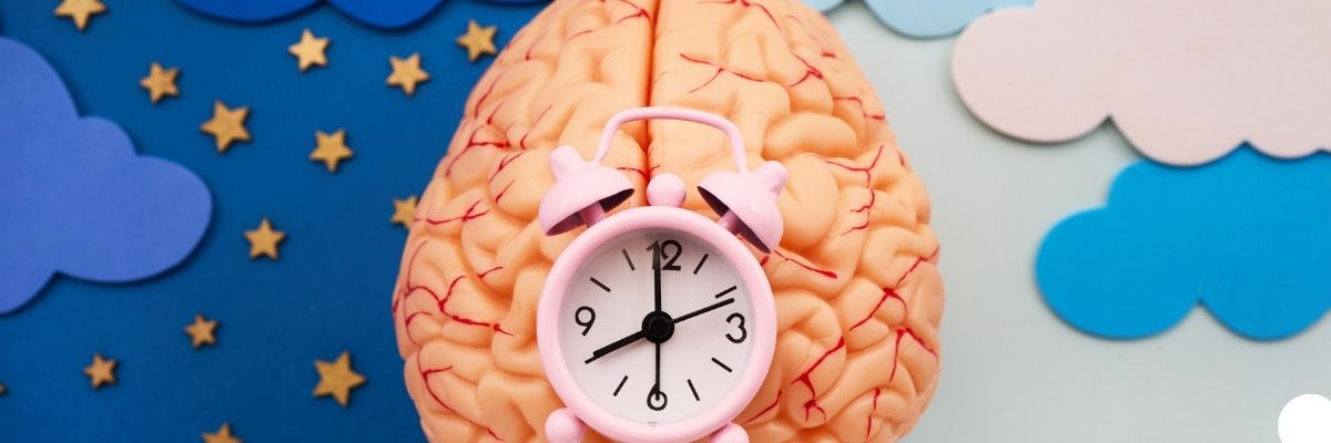 Sirkadiyen Ritim Rehberi