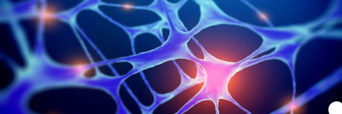 Vagus Siniri Aktivasyonu